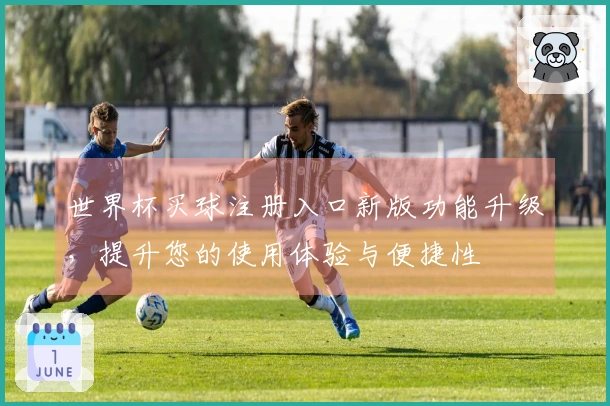 世界杯买球注册入口新版功能升级，提升您的使用体验与便捷性