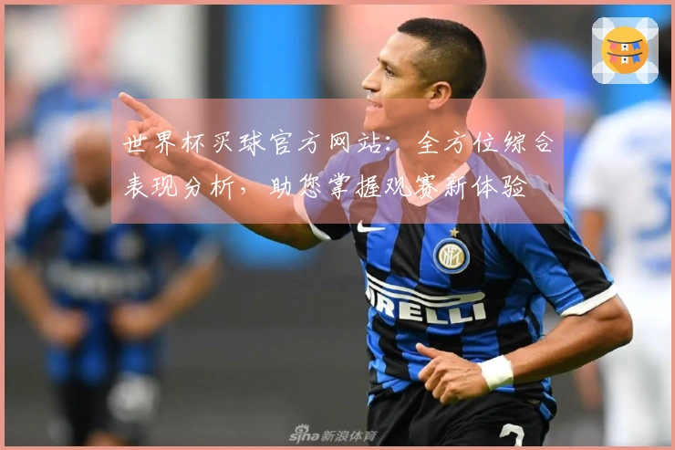 世界杯买球官方网站：全方位综合表现分析，助您掌握观赛新体验