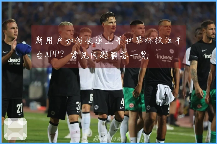 新用户如何快速上手世界杯投注平台APP？常见问题解答一览