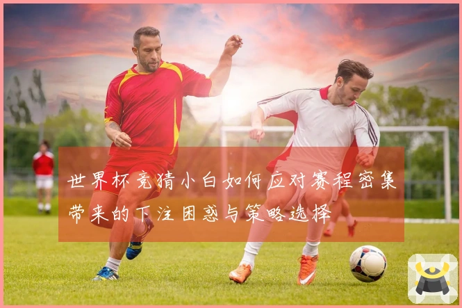 世界杯竞猜小白如何应对赛程密集带来的下注困惑与策略选择