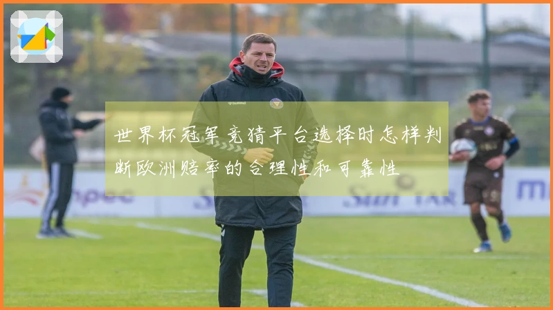 世界杯冠军竞猜平台选择时怎样判断欧洲赔率的合理性和可靠性