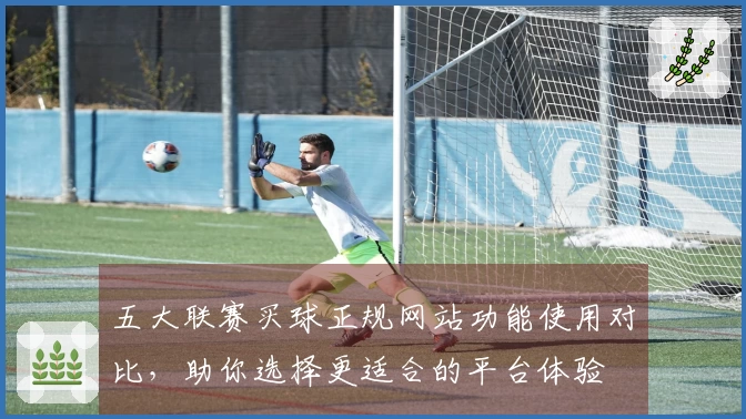 五大联赛买球正规网站功能使用对比，助你选择更适合的平台体验