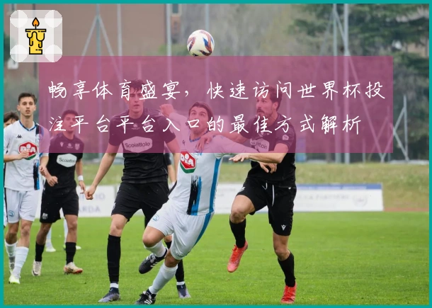畅享体育盛宴，快速访问世界杯投注平台平台入口的最佳方式解析