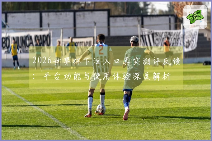 2026世界杯下注入口真实测评反馈：平台功能与使用体验深度解析