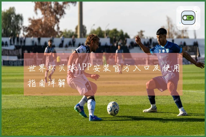 世界杯买球APP安装官方入口及使用指南详解