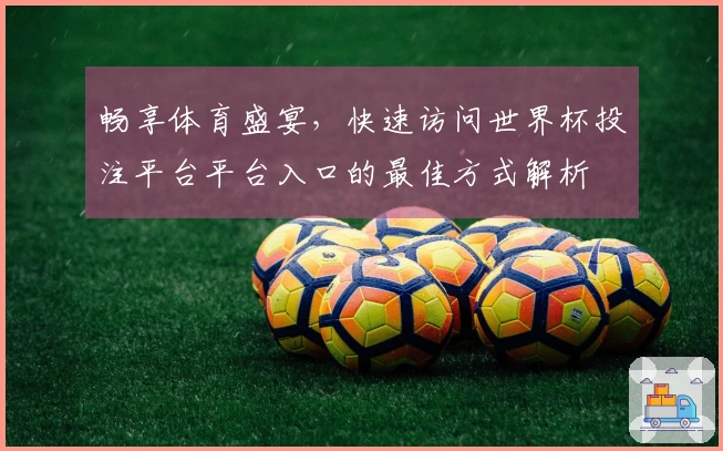 畅享体育盛宴，快速访问世界杯投注平台平台入口的最佳方式解析