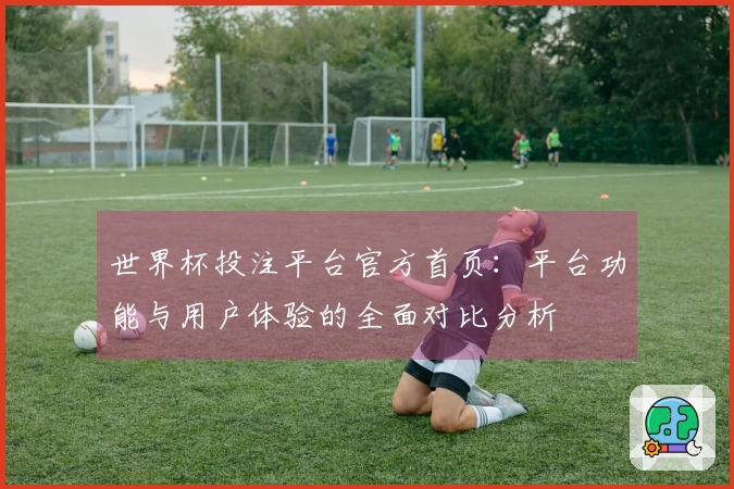 世界杯投注平台官方首页：平台功能与用户体验的全面对比分析