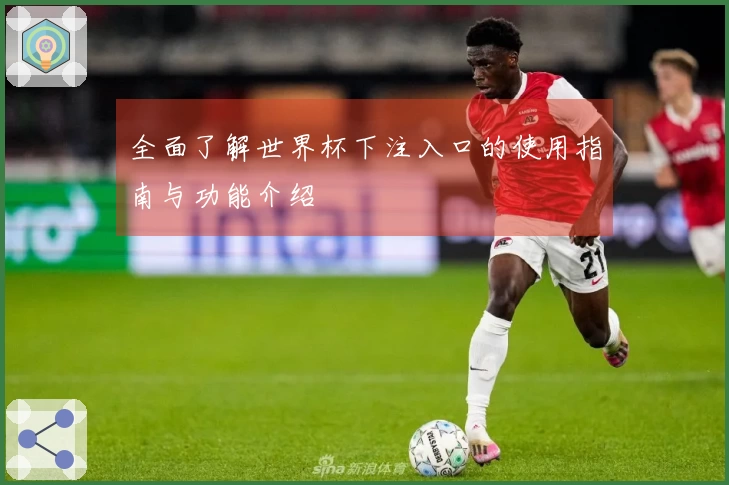 全面了解世界杯下注入口的使用指南与功能介绍