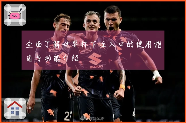 全面了解世界杯下注入口的使用指南与功能介绍