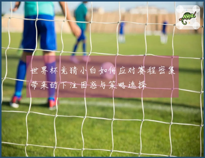 世界杯竞猜小白如何应对赛程密集带来的下注困惑与策略选择