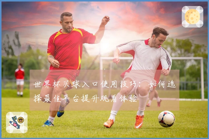 世界杯买球入口使用技巧：如何选择最佳平台提升观看体验