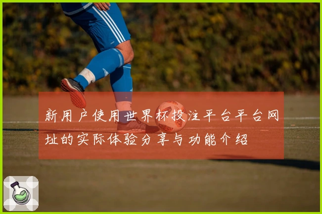 新用户使用世界杯投注平台平台网址的实际体验分享与功能介绍